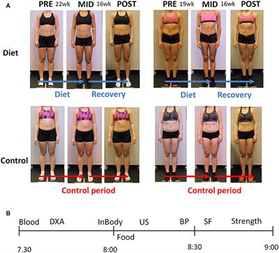 The Effects of Intensive Weight Reduction on Body Composition and Serum Hormones in Female Fitness Competitors